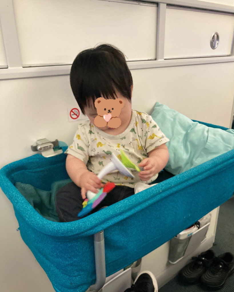 ベトナム航空　バシネット